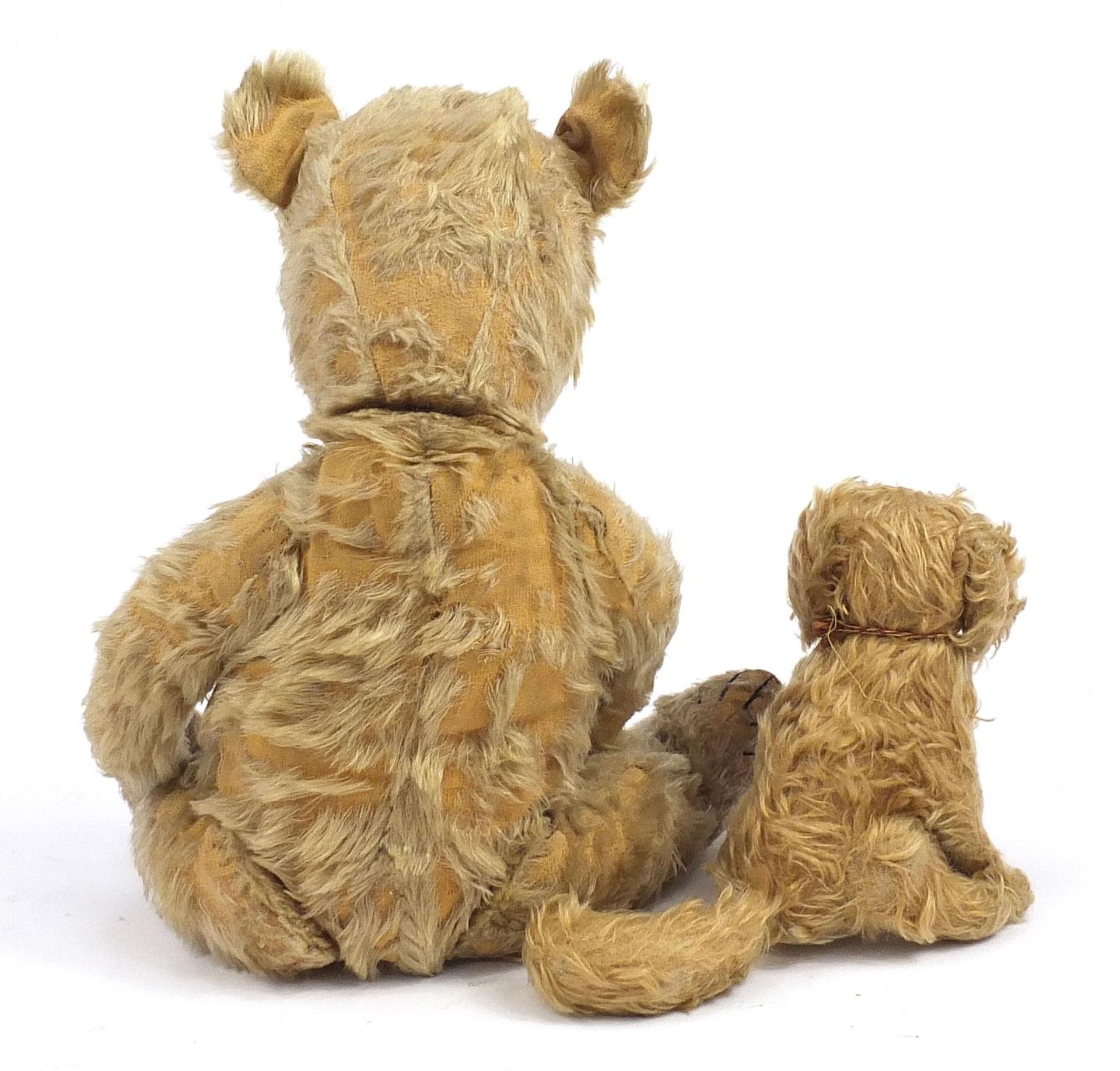 Large Vintage golden teddy bear with articulated limbs and a straw filled seated dog, the largest - Image 2 of 3