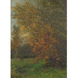 Woodland landscape with trees, German Impressionist oil on board, indistinctly inscribed in ink
