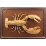 Large taxidermy lobster housed in a wall hanging display case with Emmanuel Cruysmans label to the