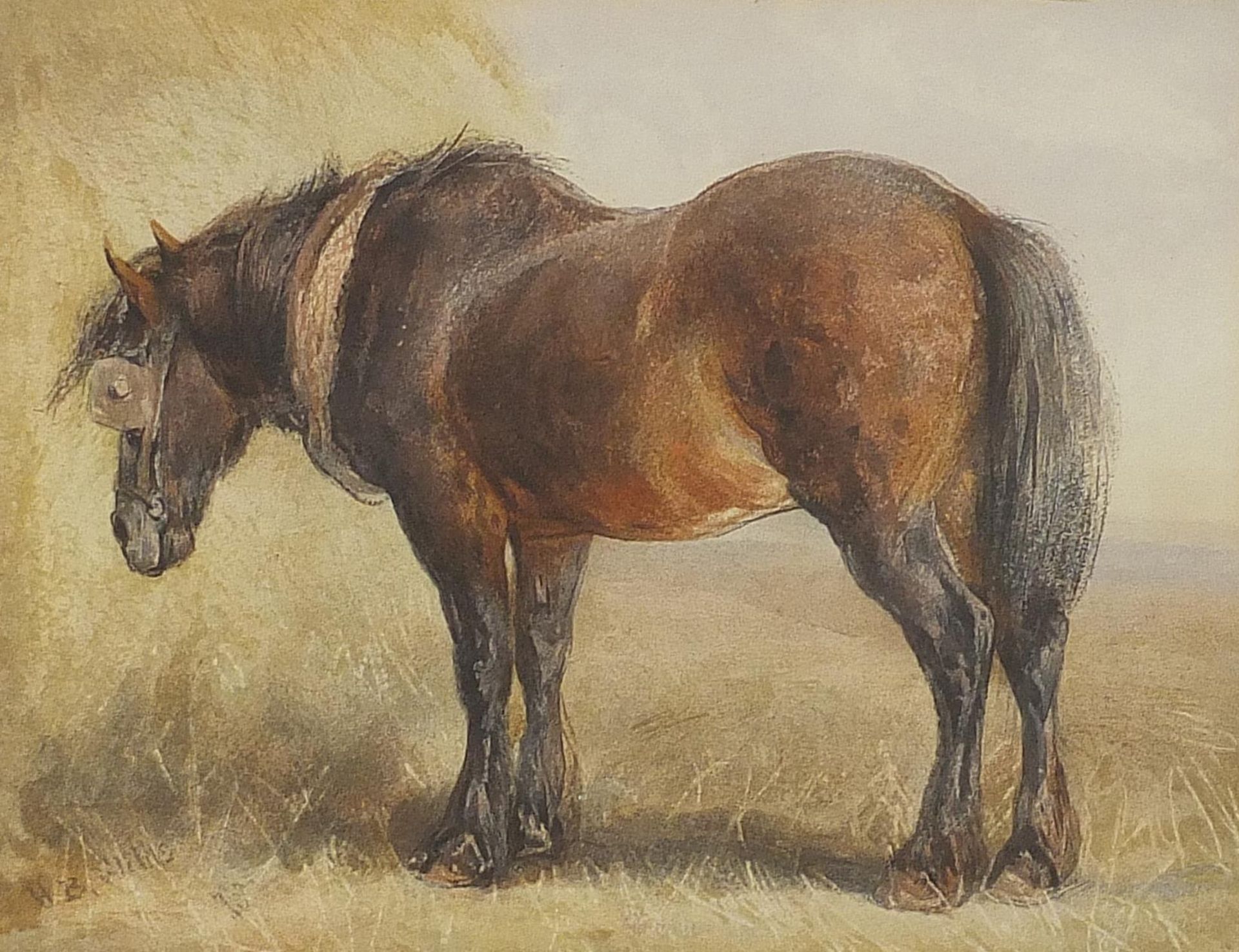 Henry Brittan Willis - Study of a draft horse, 19th century English watercolour, mounted, framed and