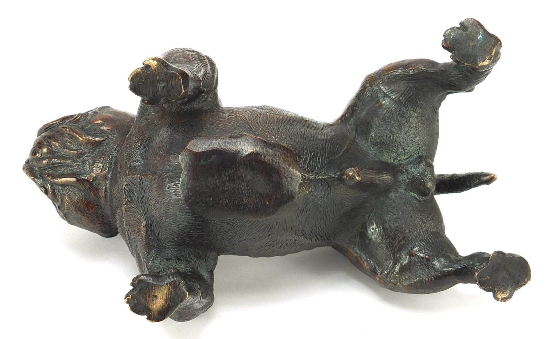Patinated bronze English Bull Terrier, 18cm in length - Image 3 of 3