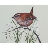 Jan Ferguson - Bird on a branch, heightened watercolour, mounted, framed and glazed, 16cm x 13cm