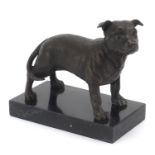 Patinated bronze Pitbull Terrier raised on a black marbleised base, 16cm in length