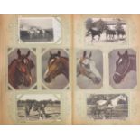 Extensive collection of equestrian interest horse postcards arranged in an album including some