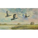 Derek C Baulcomb 2001 - Three geese flying above water, mixed media, mounted, framed and glazed,
