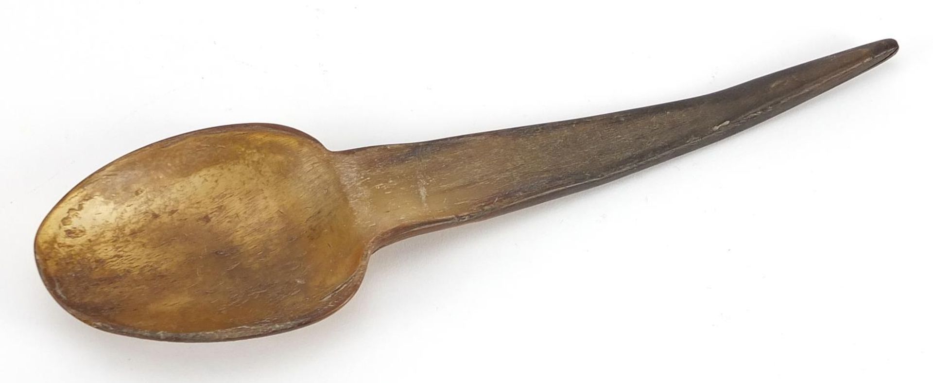 Asian horn spoon, possibly rhinoceros, 22.5cm in length