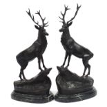 Pair of large patinated bronze stags raised on oval marble stepped bases, each 74cm high