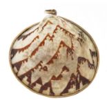 9ct gold mounted clam shell pendant, 3.5cm wide, 9.2g