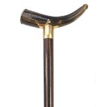 Victorian coromandel walking stick with horn handle and 9ct rolled gold mounts, 94.5cm in length