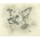 A Gill - Portrait of a dog, heightened charcoal, inscribed Brennen verso, mounted, framed and