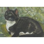 Richard A Howard - The Artist's Cat, pastel, mounted, framed and glazed, 40cm x 28cm excluding the