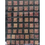 Collection of Victorian stamps including Penny Reds and Halfpenny Reds arranged on sheets