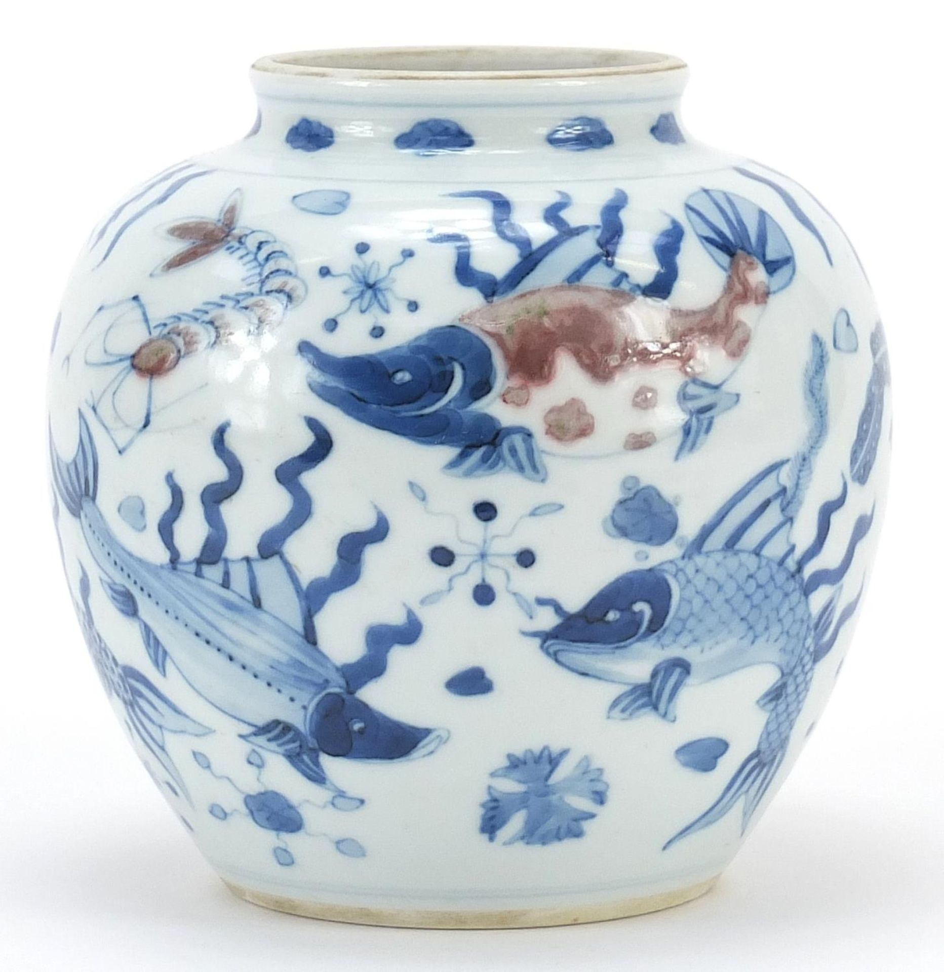 Chinese blue and white with iron red porcelain vase hand painted with fish amongst aquatic life, six