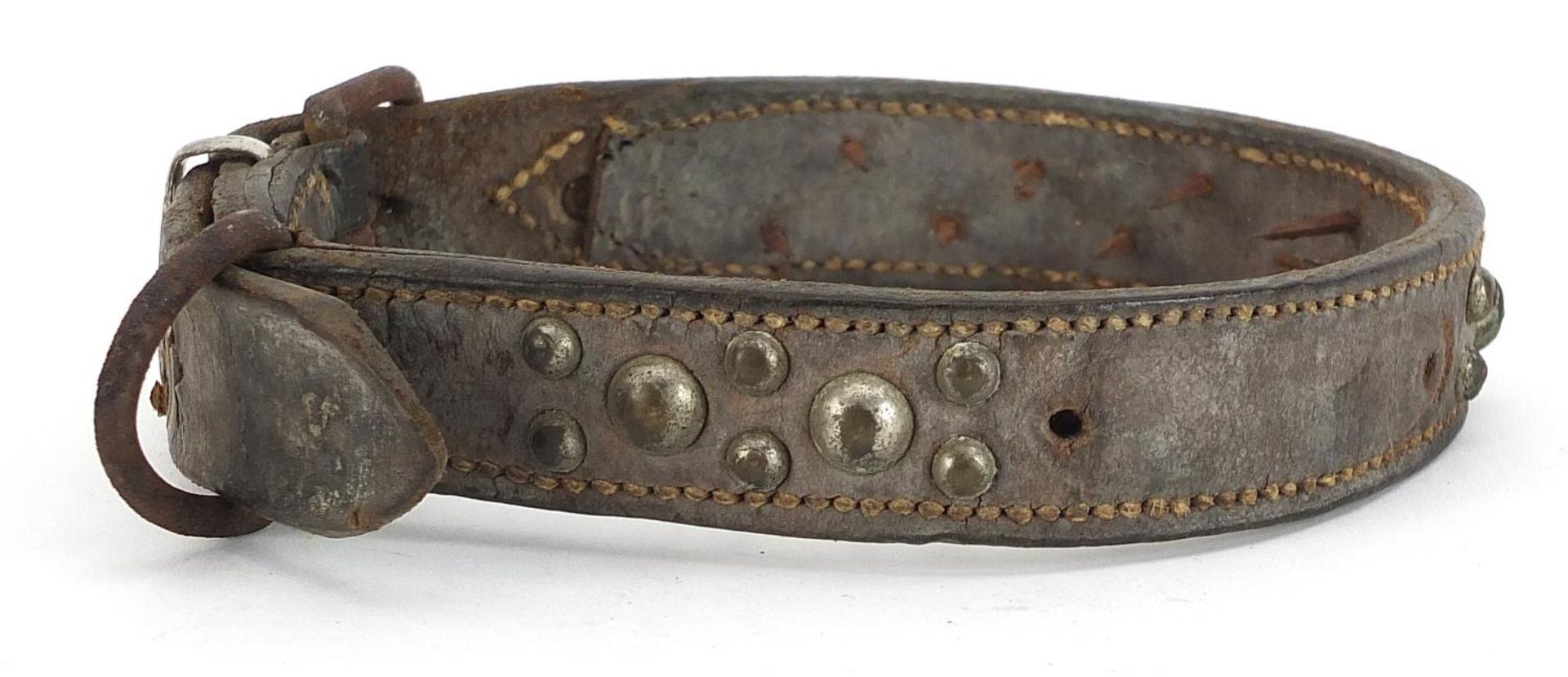 19th century spiked leather dog's collar - Image 2 of 3