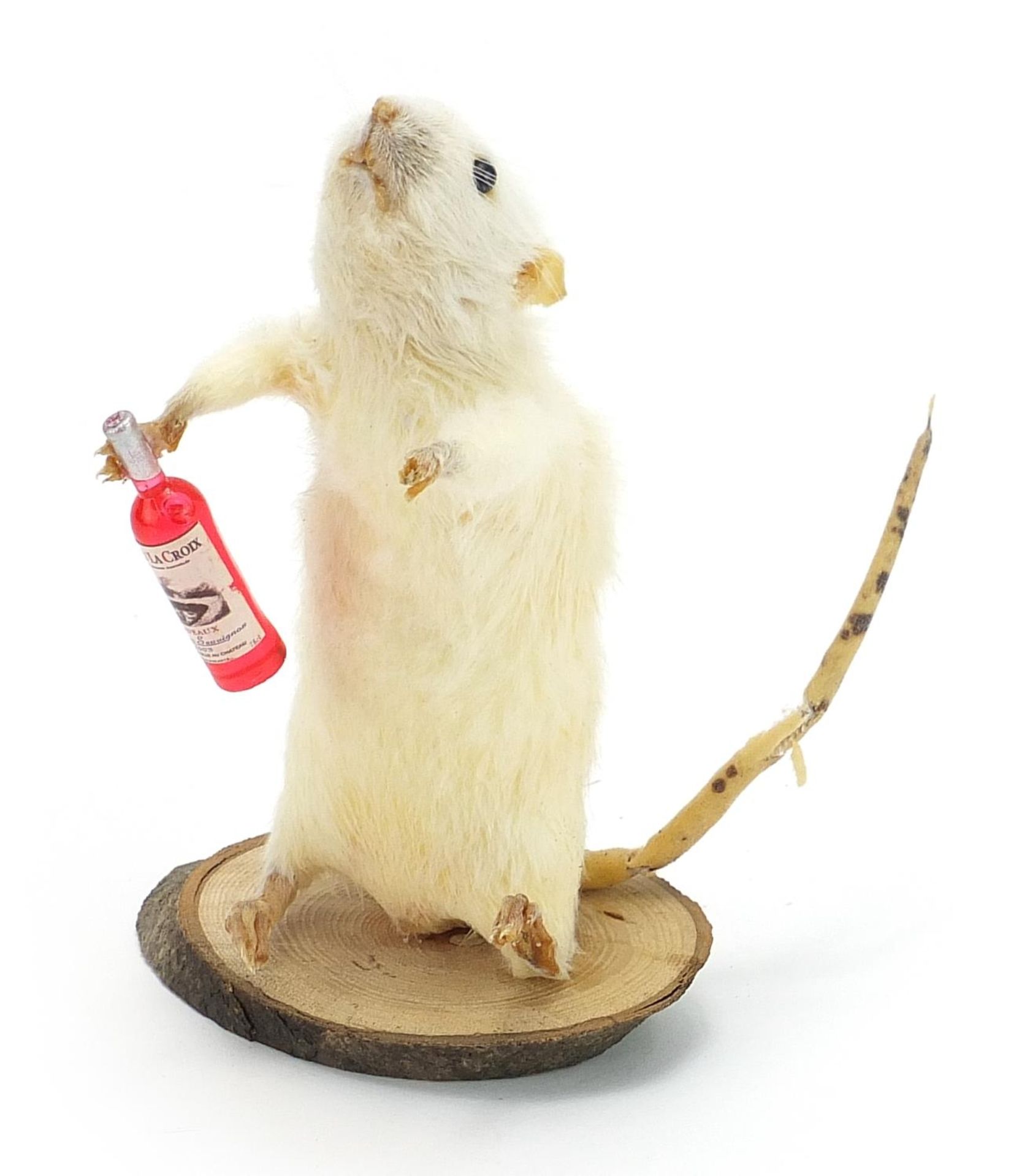 Novelty taxidermy interest white mouse holding a bottle of wine, 16cm high