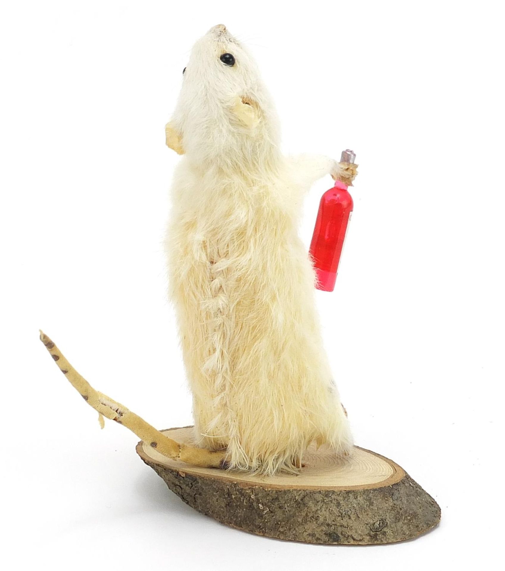 Novelty taxidermy interest white mouse holding a bottle of wine, 16cm high - Image 2 of 3
