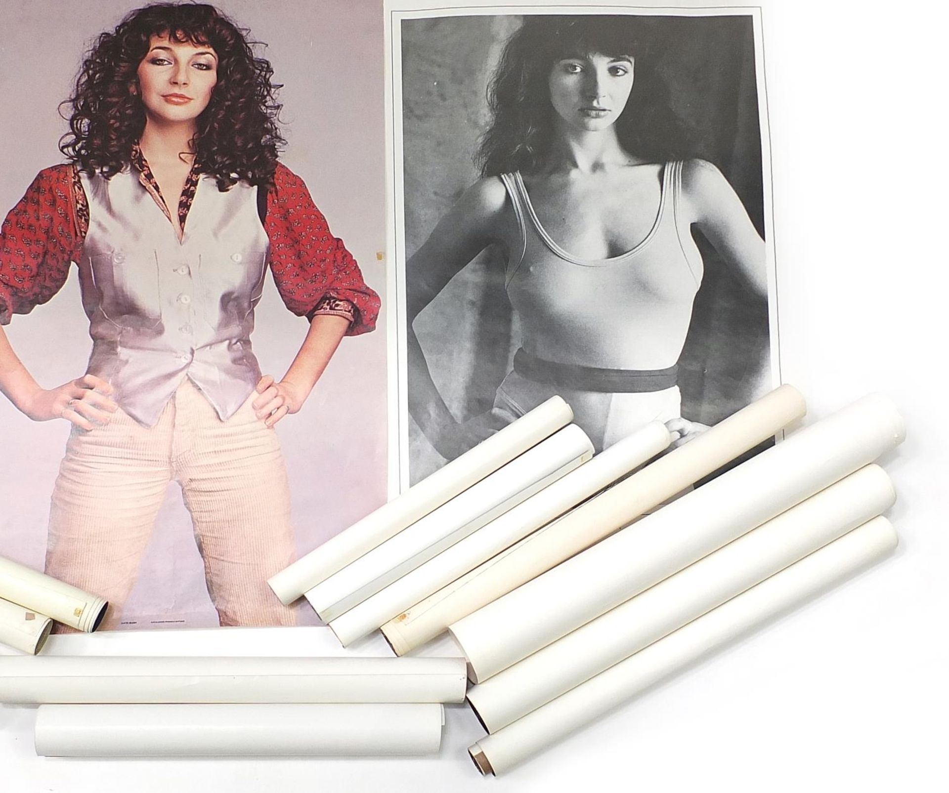 Collection of 1970s and later Kate Bush posters - Bild 3 aus 3