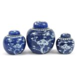 Three Chinese blue and white porcelain ginger jars with covers hand painted with prunus flowers,
