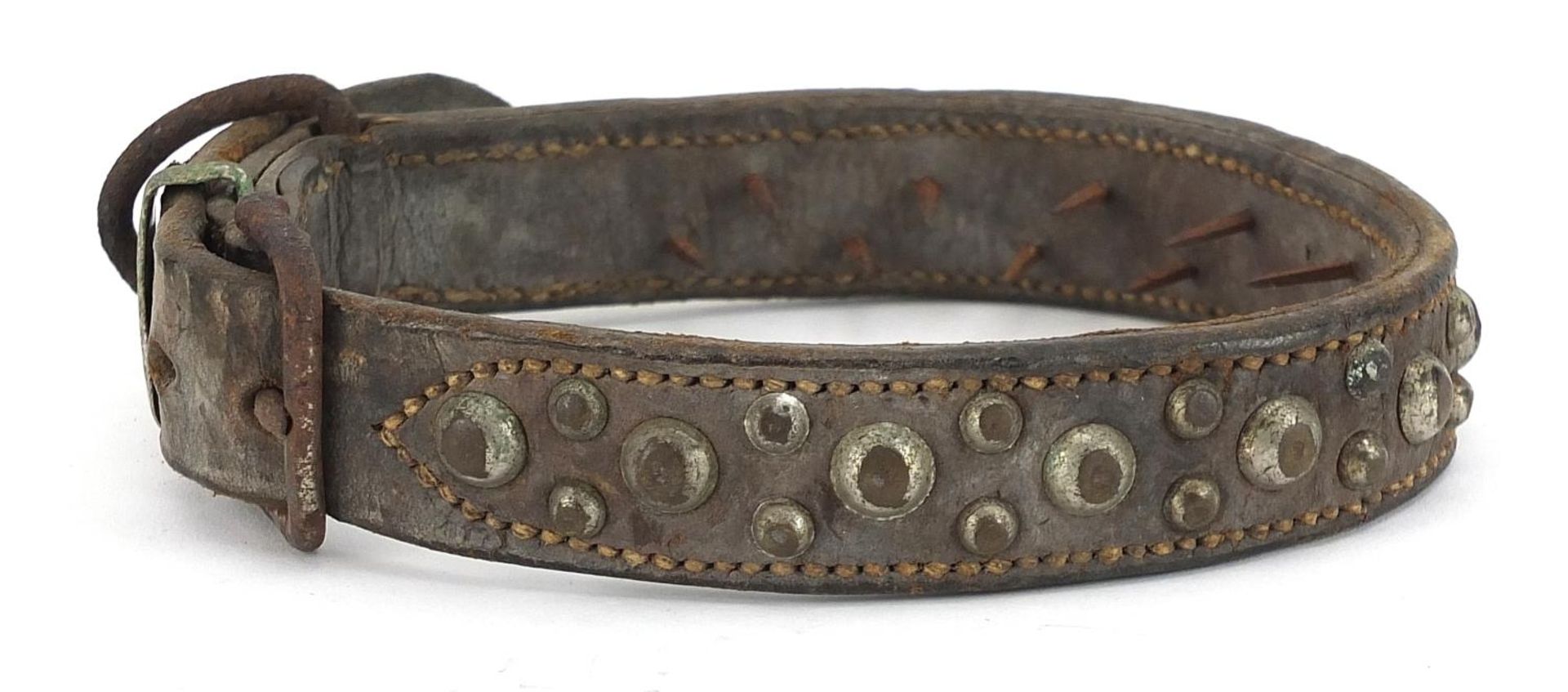 19th century spiked leather dog's collar