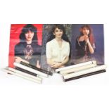 Collection of 1970s and later Kate Bush posters