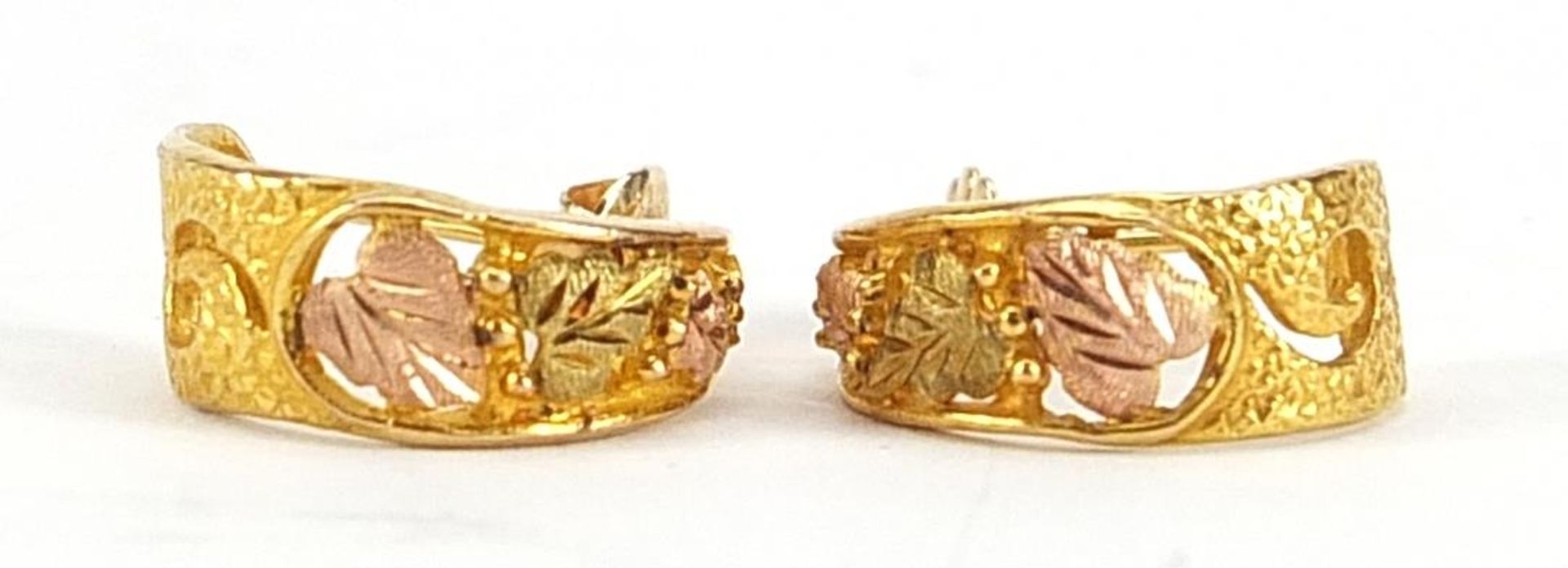 Black Hills, pair of 10k gold three tone grapevine hoop earrings, 1.5cm in diameter, 3.5g