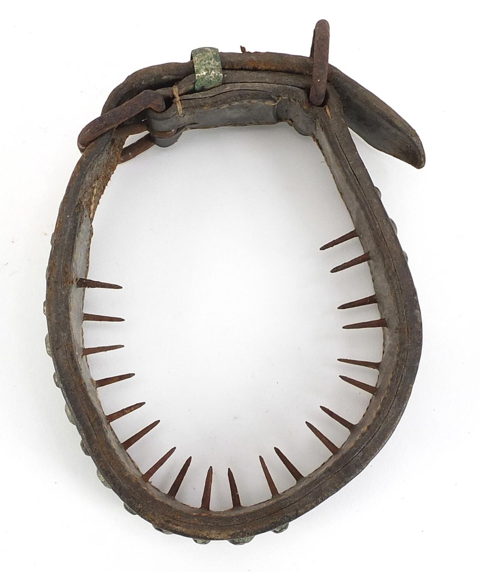 19th century spiked leather dog's collar - Image 3 of 3