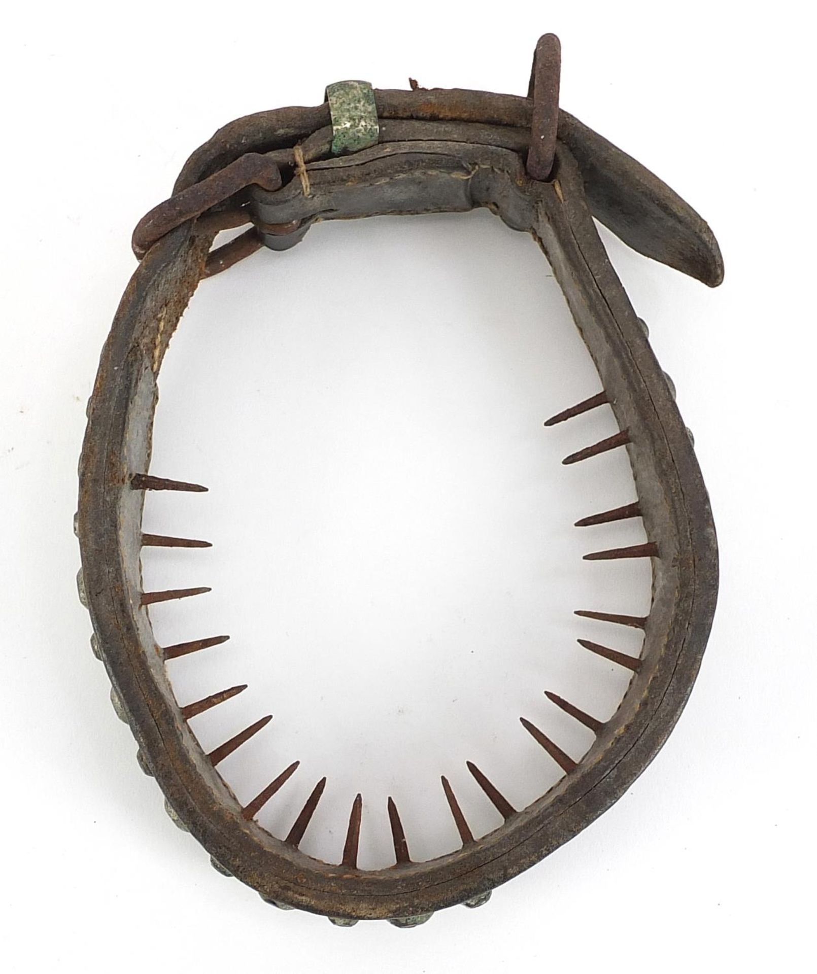 19th century spiked leather dog's collar - Bild 3 aus 3