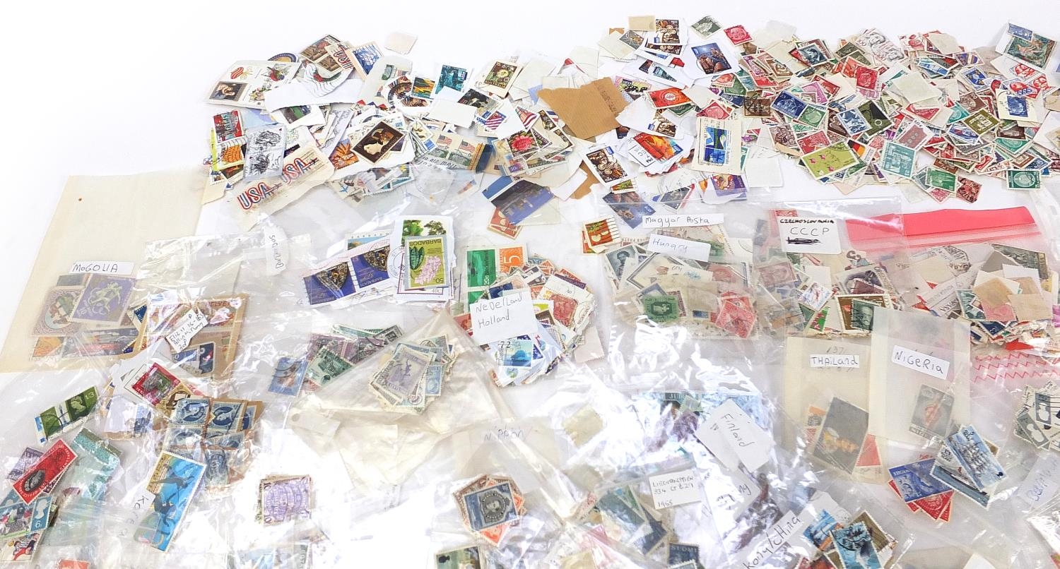 Collection of Great Britain and world stamps, some unused and blocks - Bild 2 aus 7