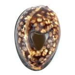Victorian cowrie shell brass snuff box with shield crest, 5cm x 4cm