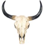 Decorative wildebeest skull, 45cm high