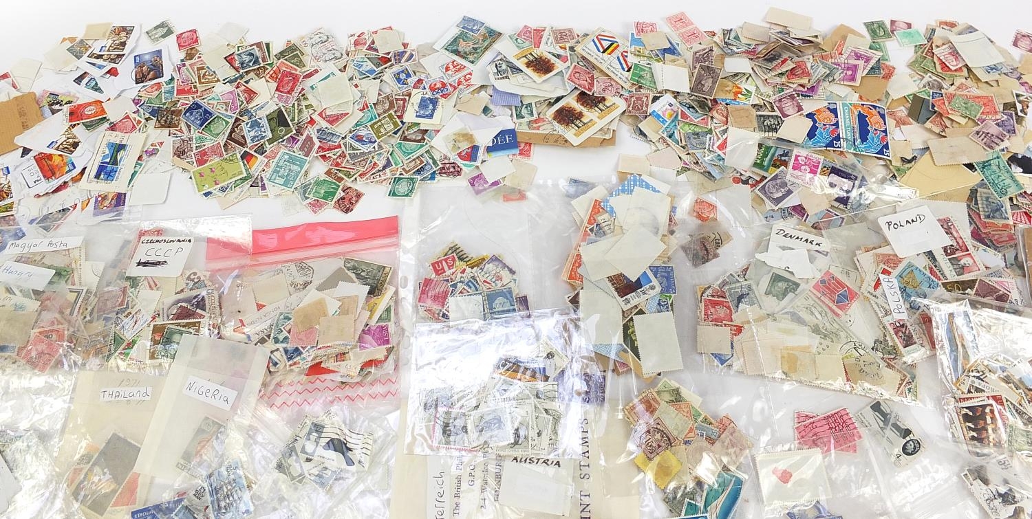 Collection of Great Britain and world stamps, some unused and blocks - Bild 3 aus 7