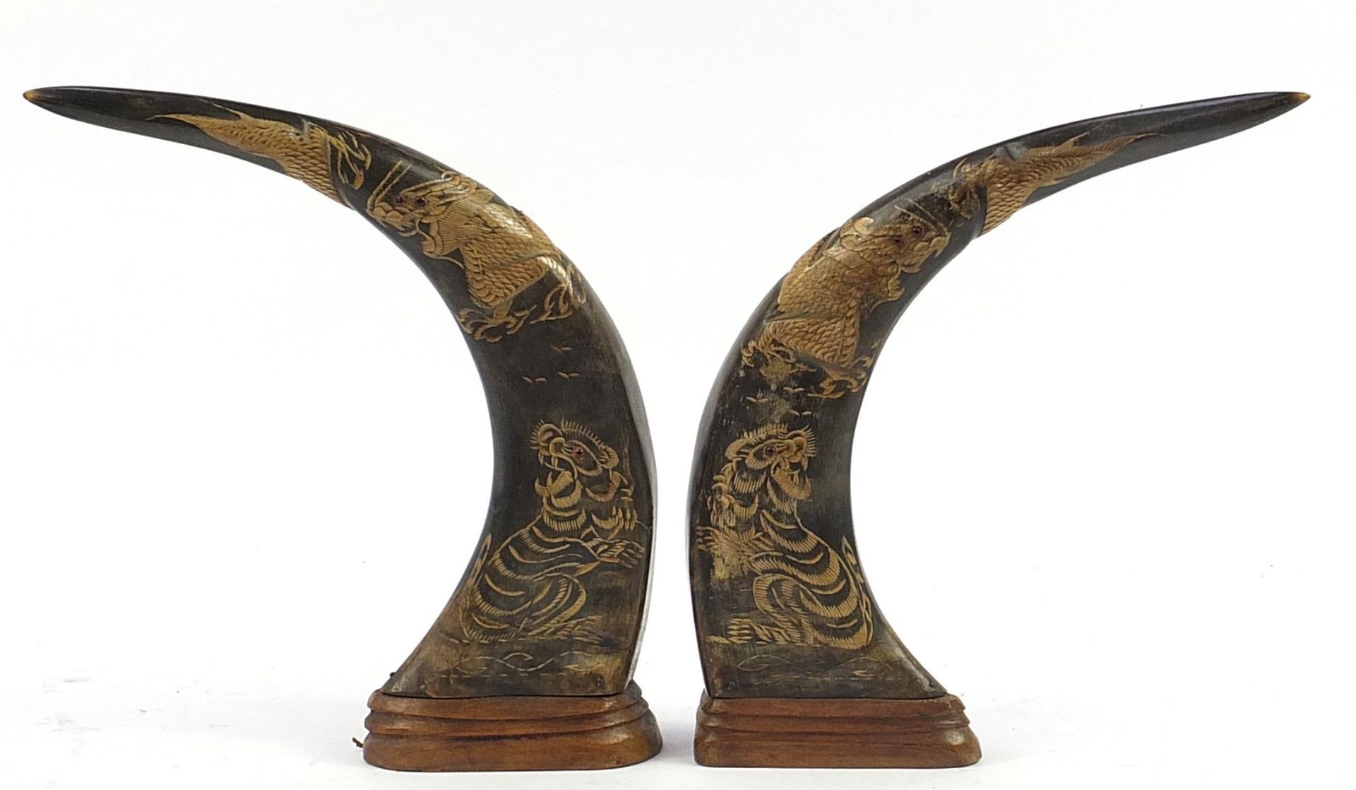 Pair of Chinese taxidermy interest horns carved with dragons and tigers, each raised on a carved