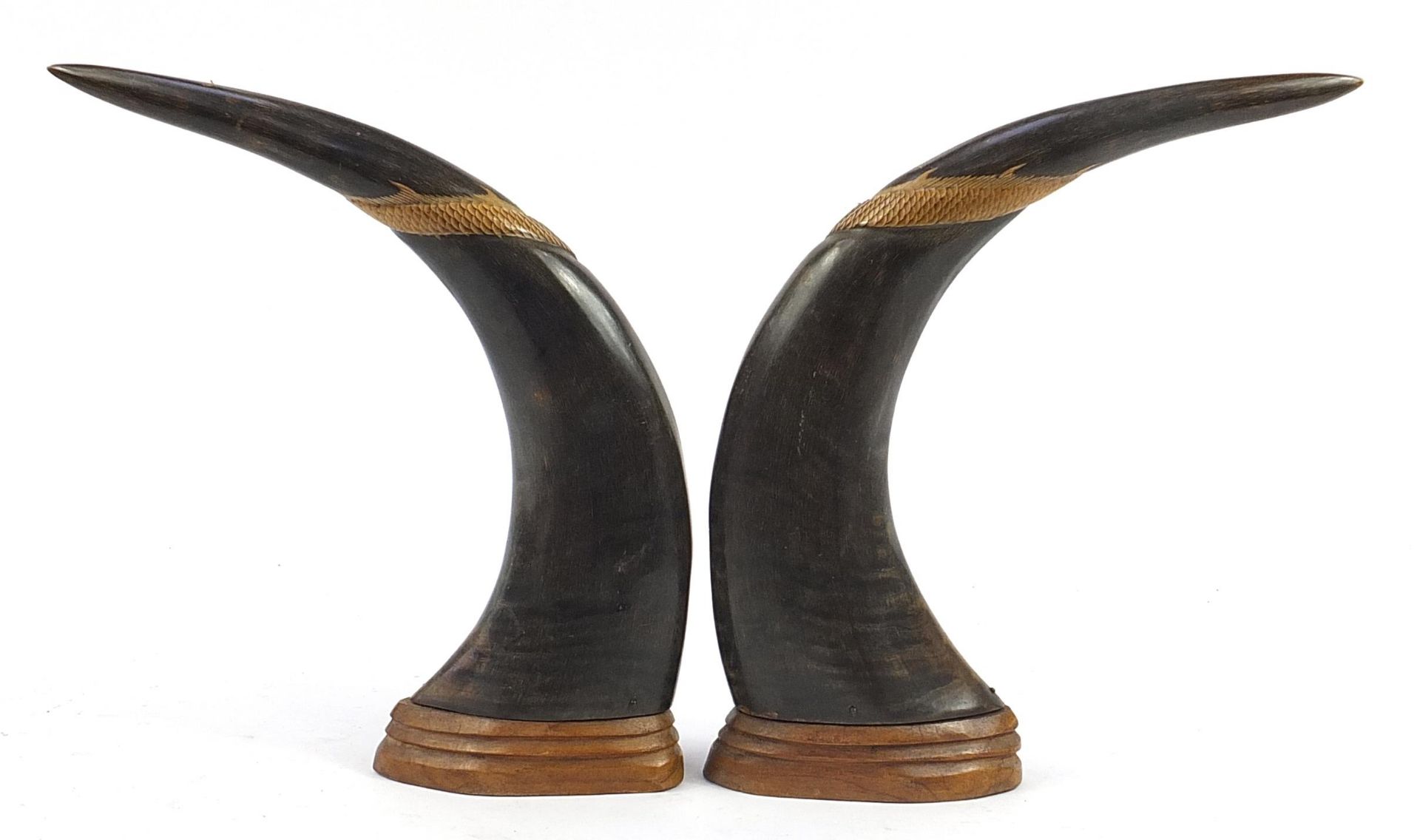 Pair of Chinese taxidermy interest horns carved with dragons and tigers, each raised on a carved - Image 2 of 3