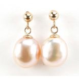 Pair of 9ct gold cultured peach freshwater pearl drop earrings, 1.5cm high, 2.0g