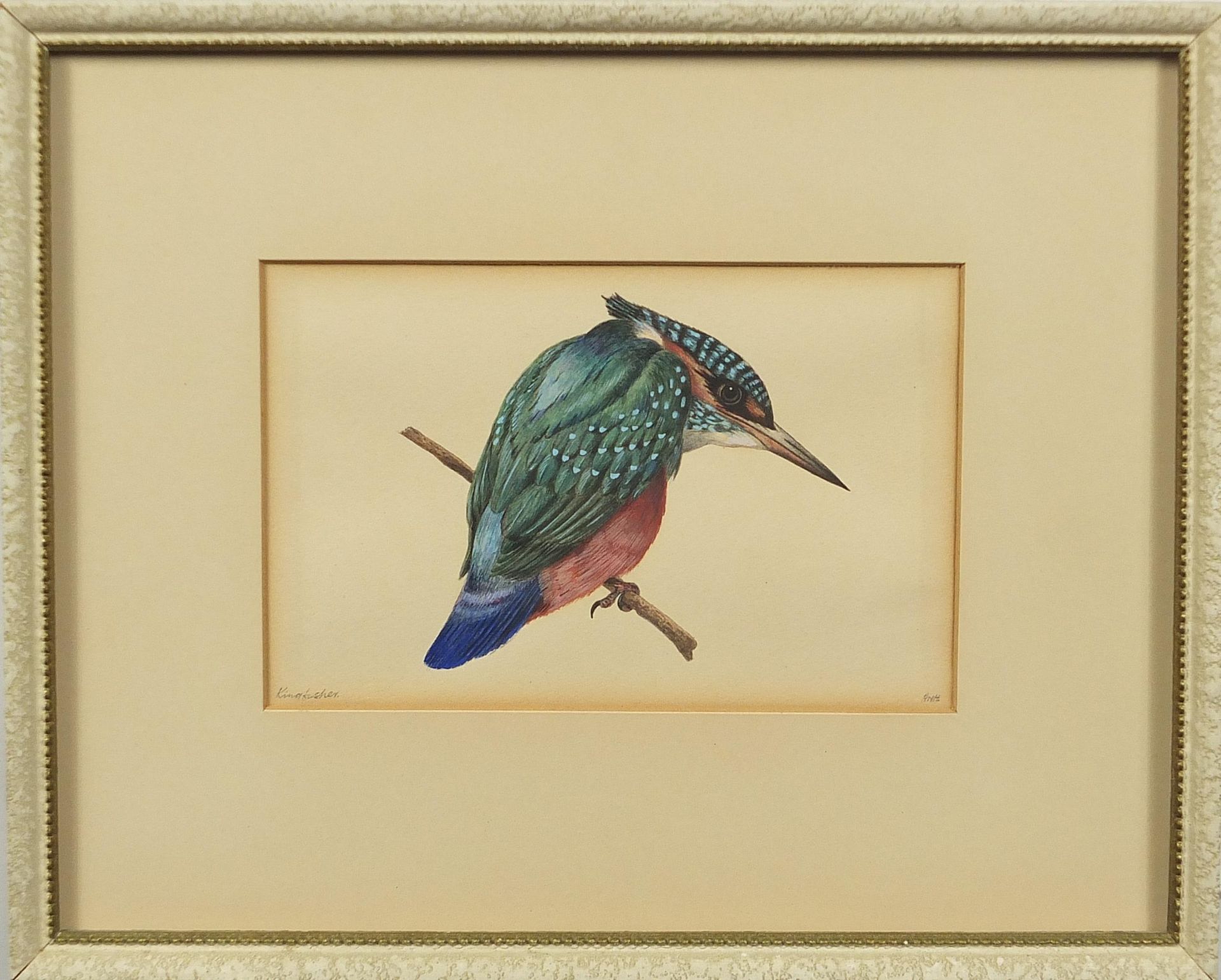 Kingfisher on a branch, watercolour, indistinctly monogrammed, possibly ANH, mounted and framed, - Bild 2 aus 4