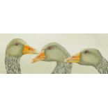Clive Fredriksson - Greylag geese, oil on board, framed, 49.5cm x 20cm excluding the frame