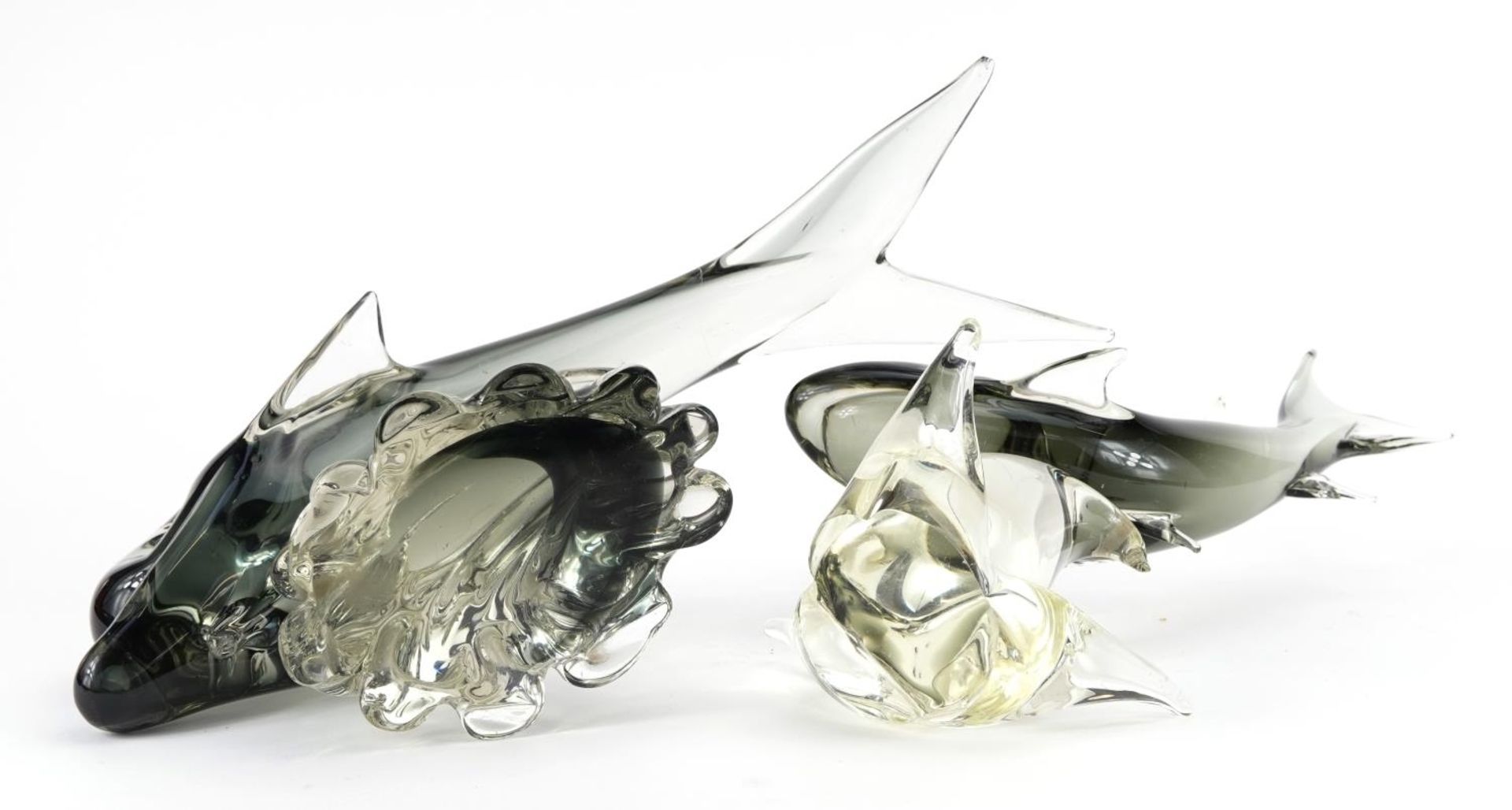 Two large Murano smoked glass fish sculptures, the largest 40cm in length - Image 3 of 3