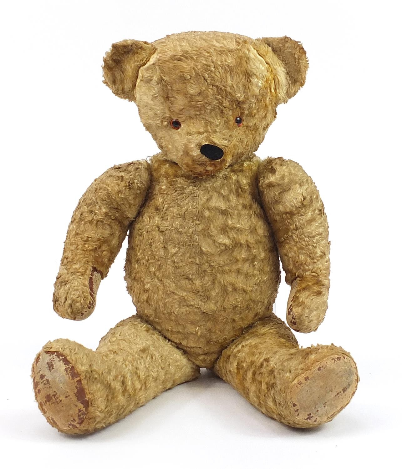 Vintage golden teddy bear with jointed limbs, 72cm high