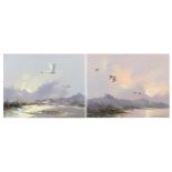 Howard Devonald - Birds in flight, pair of oil on canvasses, mounted and framed, each 44cm x 34cm