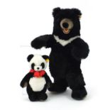 Steiff standing black bear and panda bear, the largest 53cm high