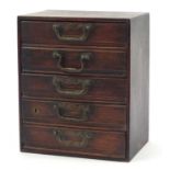Oak five drawer collector's chest with brass handles, 31cm H x 25.5cm W x 17cm D