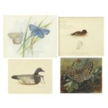 Michael J Clark - Butterflies, moth and ducks, set of four watercolours, one with pencil