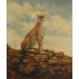 Seated cheetah in a landscape, impasto oil on canvas, indistinctly signed, possibly P Newman,