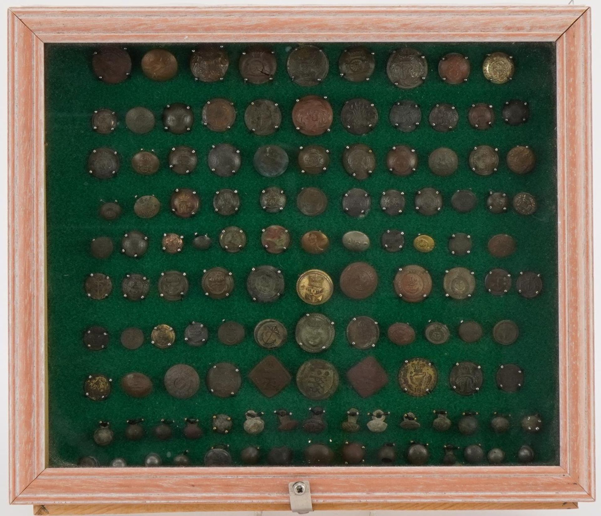 Good collection of antique naval buttons arranged in a glazed display case, the largest