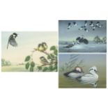 Don Forrest - Birds in flight and Ducks on Water, set of three 1970s watercolour and gouaches, two