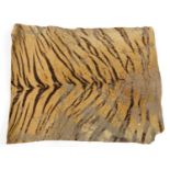 Taxidermy interest tiger's skin wall hanging, 81cm x 65cm