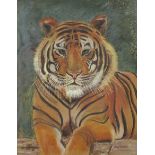 R A Howard - Portrait of a tiger, pastel, framed and glazed, 49cm x 39cm excluding the frame