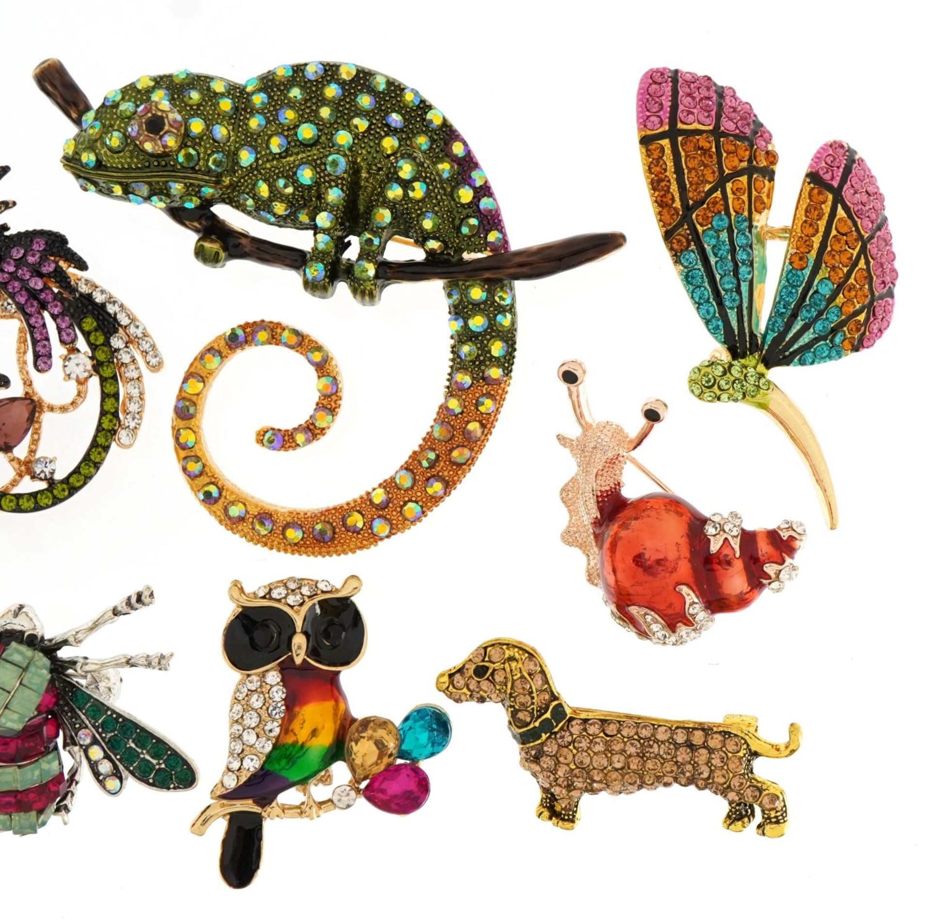 Eight jewelled and enamel animal and insect brooches including Dachshund, butterfly and crocodile, - Image 3 of 4