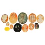 Collection of cameo panels carved with maiden heads, two hand painted examples and a pietra dura