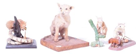 OF TAXIDERMY INTEREST - COLLECTION OF 20TH CENTURY TAXIDERMY